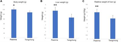 Differences of energy adaptation strategies in Tupaia belangeri between Pianma and Tengchong region by metabolomics of liver: Role of warmer temperature